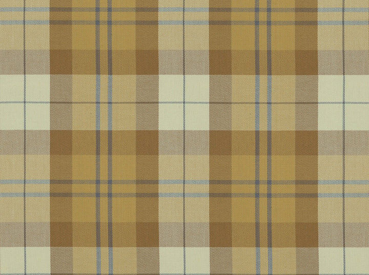 Leland 81 Golden by Covington Fabric 100% COTTON DOBBY India 15000 Horizontal: 9 and Vertical: 9 54 - Fabric Carolina -