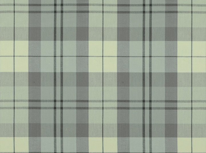 Leland 90 Silver by Covington Fabric 100% COTTON DOBBY India 15000 Horizontal: 9 and Vertical: 9 54 - Fabric Carolina -