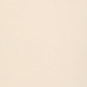Lemar Parchment by Norbar Fabric SALERNO 100% POLYESTER CHINA 55 - Fabric Carolina -