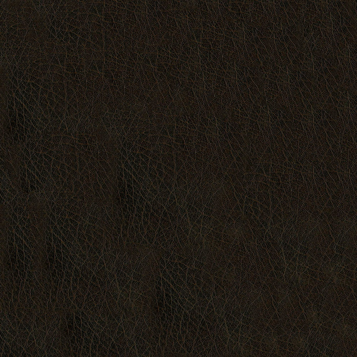 Dallas 8006 Walnut by ABBEYSHEA Fabric N/A 65% Polyester, 35% Viscose China 365,000 Double Rubs </p><p>Repeat: Horizontal: and Vertical: 56" (142 cm) - Fabric Carolina -