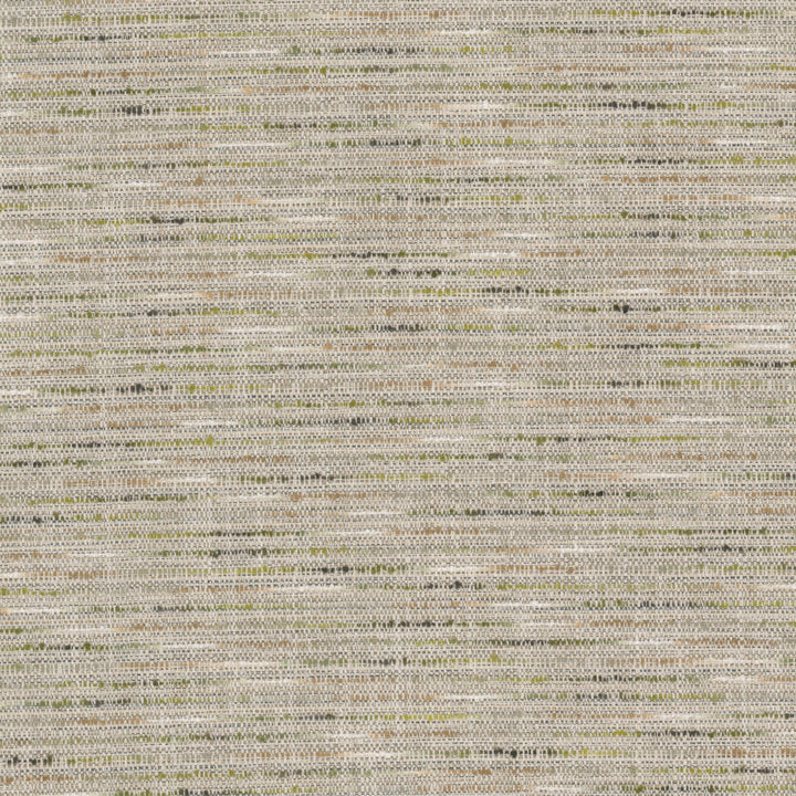 Lennon 1 Grass by Stout Fabric Stout Fabric Lennon 1 GrassFabric Rainbow Library Celadon/Bottle 95%Pol 5%Lin India </p><p>Repeat: H: 0, V: 0 54 in - Fabric Carolina -