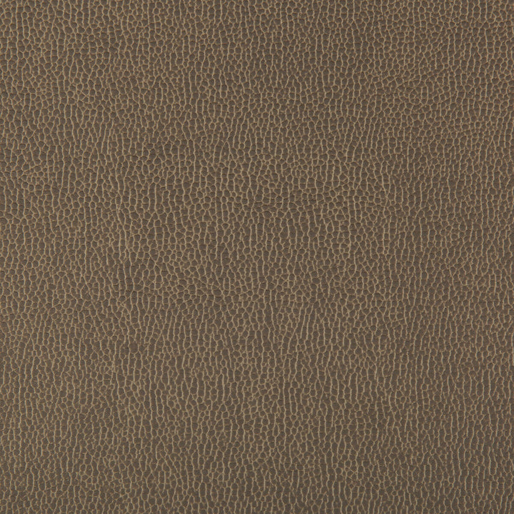 Lenox Elephant by Kravet Contract Designer Fabric SILICONE - 100% China HEAVY Horizontal: 0 and Vertical: 0 55 - Swanky Fabrics -