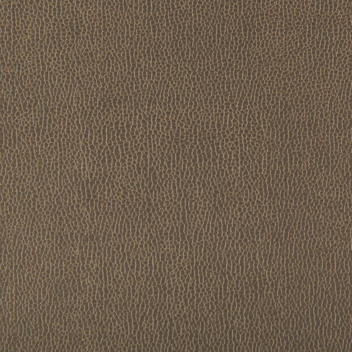 Lenox Elephant by Kravet Contract Fabric SILICONE - 100% China HEAVY Horizontal: 0 and Vertical: 0 55 - Fabric Carolina -