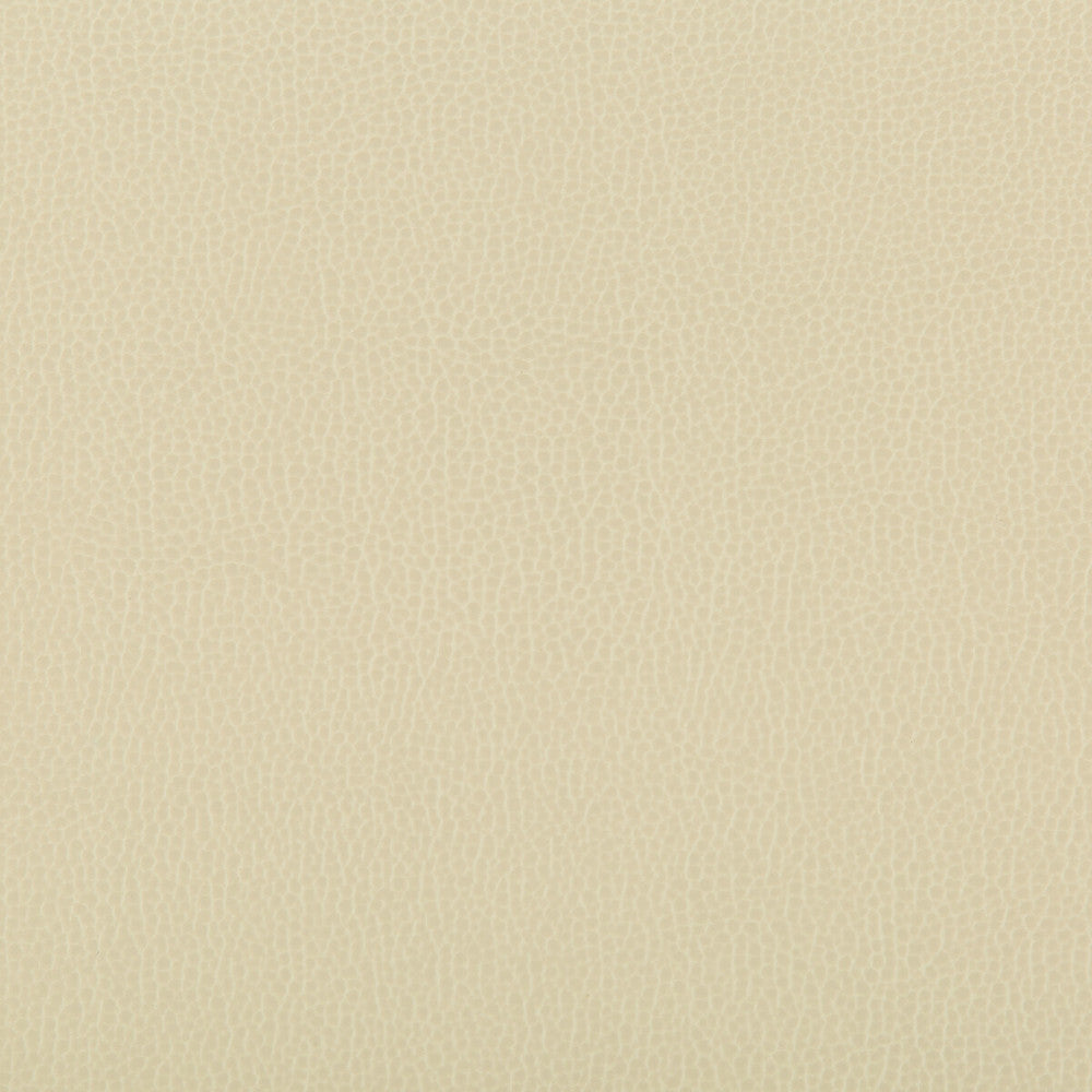 Lenox Papyrus by Kravet Contract Fabric SILICONE - 100% China HEAVY Horizontal: 0 and Vertical: 0 55 - Fabric Carolina -