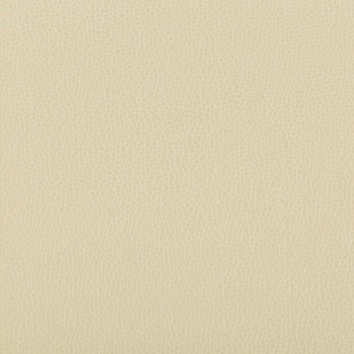Lenox Papyrus by Kravet Contract Fabric - SILICONE - 100% China HEAVY Horizontal: 0 and Vertical: 0 55 - Fabric Carolina -