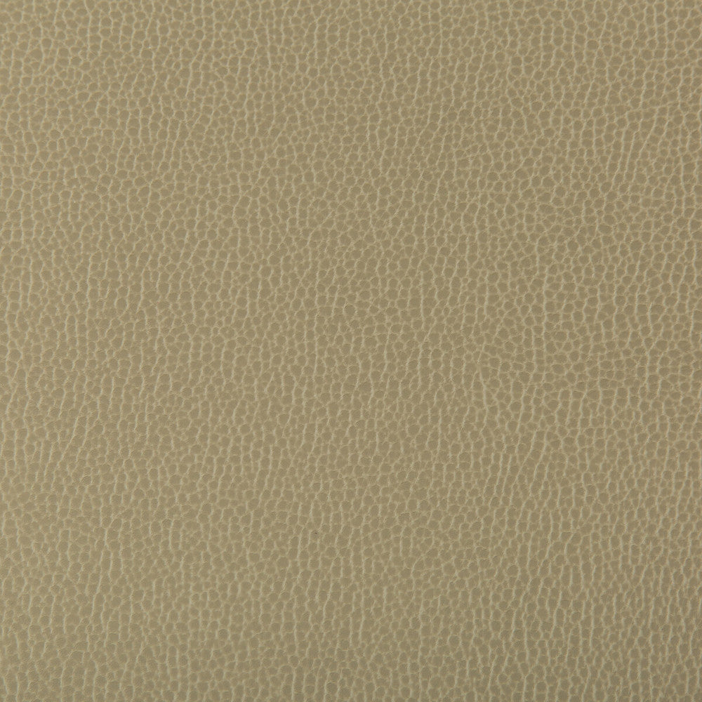 Lenox Elm by Kravet Contract Fabric SILICONE - 100% China HEAVY Horizontal: 0 and Vertical: 0 55 - Fabric Carolina -