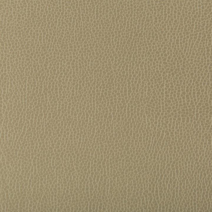 Lenox Elm by Kravet Contract Fabric SILICONE - 100% China HEAVY Horizontal: 0 and Vertical: 0 55 - Fabric Carolina -