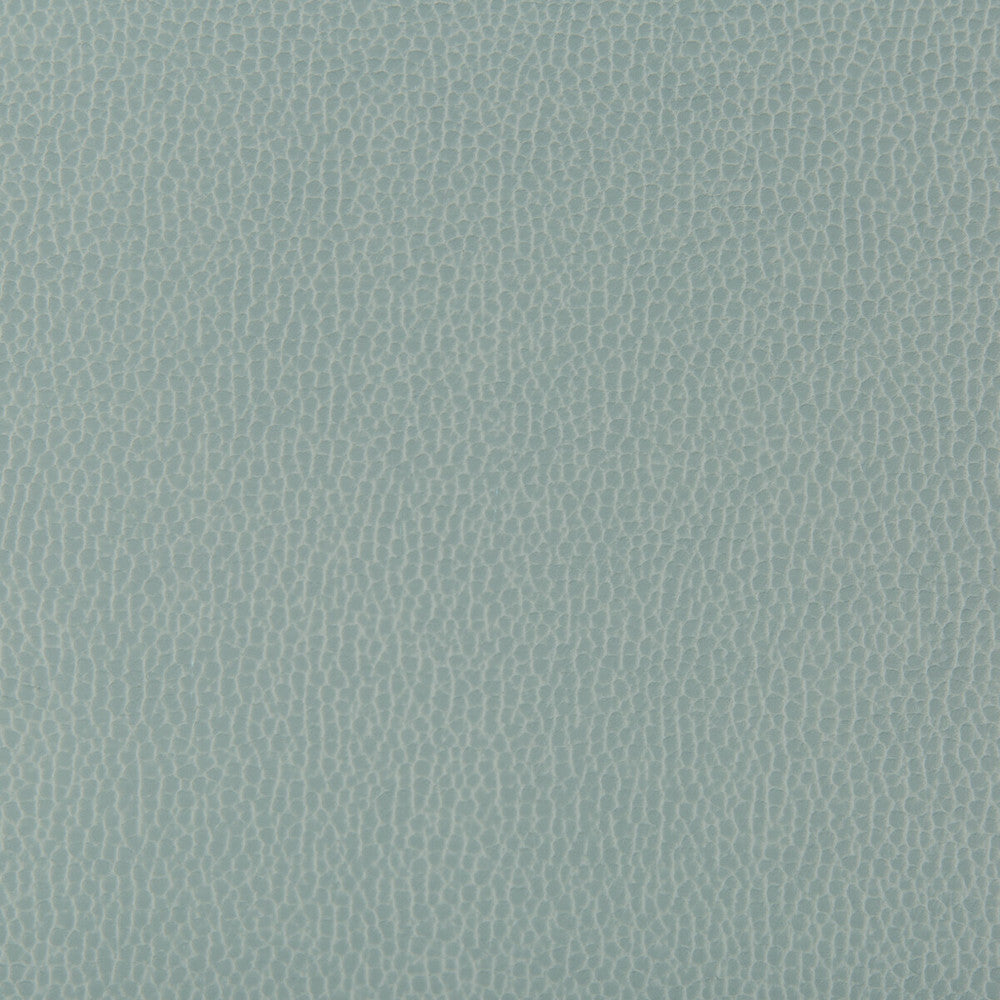 Lenox Mystic by Kravet Contract Fabric - SILICONE - 100% China HEAVY Horizontal: 0 and Vertical: 0 55 - Fabric Carolina -
