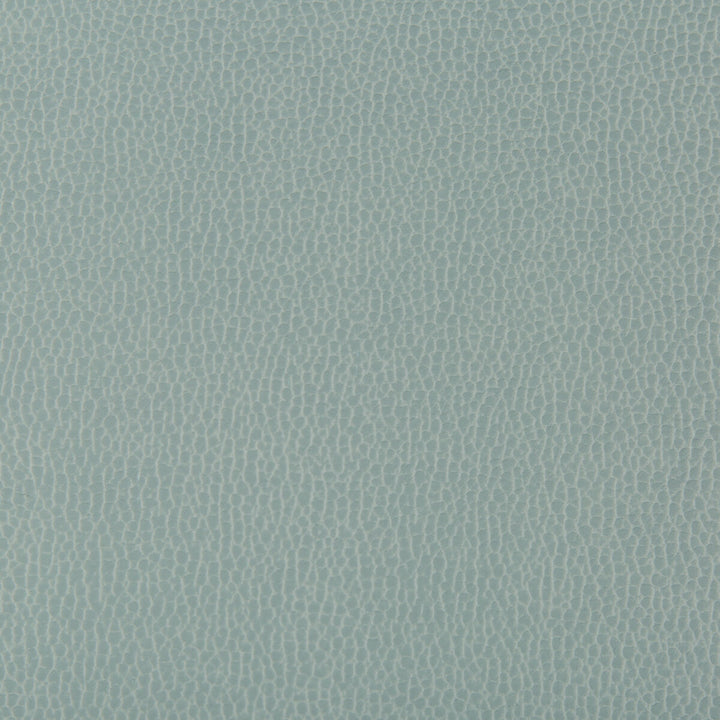 Lenox Mystic by Kravet Contract Fabric - SILICONE - 100% China HEAVY Horizontal: 0 and Vertical: 0 55 - Fabric Carolina -
