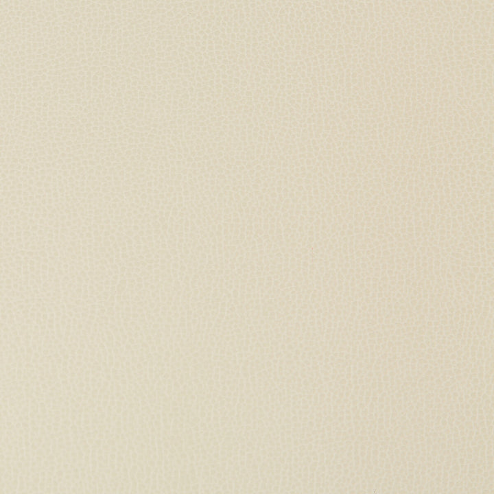 Lenox Stone by Kravet Contract Fabric SILICONE - 100% China HEAVY Horizontal: 0 and Vertical: 0 55 - Fabric Carolina -