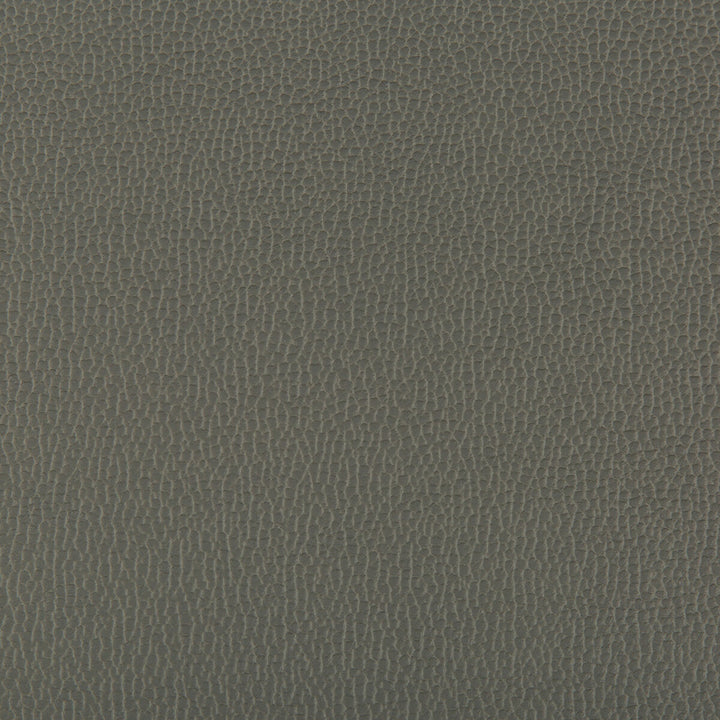 Lenox Shadow by Kravet Contract Fabric SILICONE - 100% China HEAVY Horizontal: 0 and Vertical: 0 55 - Fabric Carolina -