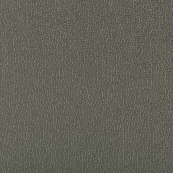 Lenox Shadow by Kravet Contract Designer Fabric - SILICONE - 100% China HEAVY Horizontal: 0 and Vertical: 0 55 - Swanky Fabrics -