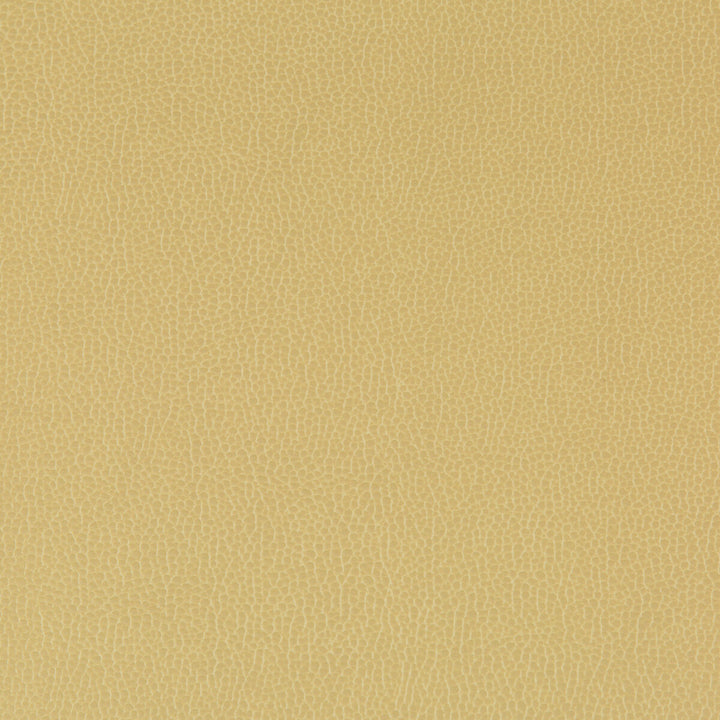 Lenox Sesame by Kravet Contract Fabric - SILICONE - 100% China HEAVY Horizontal: 0 and Vertical: 0 55 - Fabric Carolina -