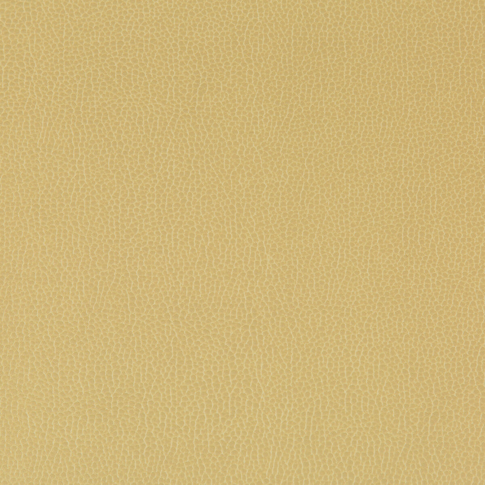 Lenox Sesame by Kravet Contract Fabric Kravet Contract Fabric Lenox SesameFabric SILICONE - 100% China </p><p>Repeat: H: 0, V: 0 55 - Fabric Carolina -