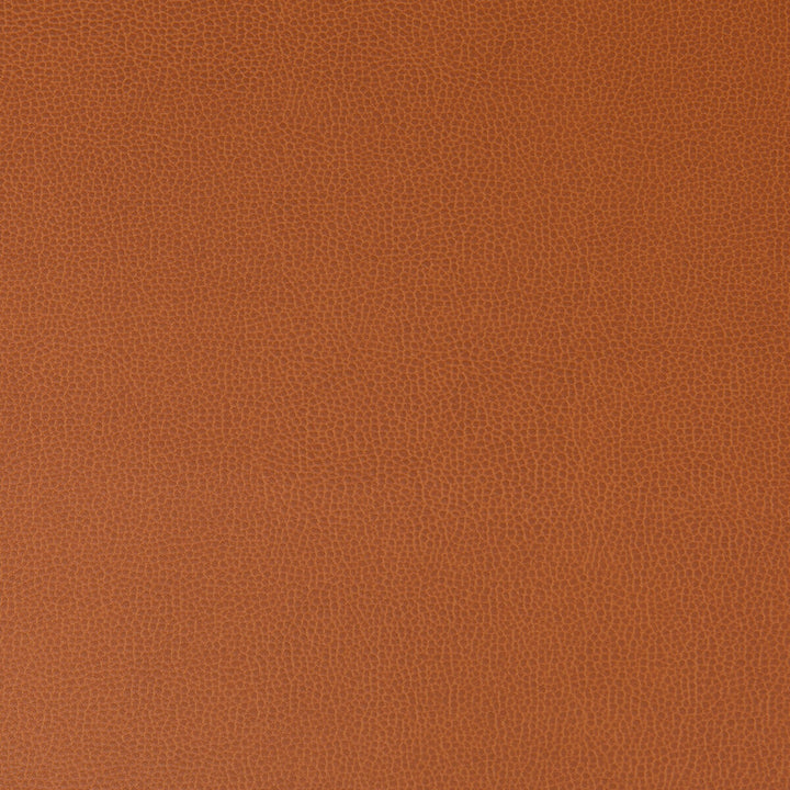 Lenox Canyon by Kravet Contract Designer Fabric SILICONE - 100% China HEAVY Horizontal: 0 and Vertical: 0 55 - Swanky Fabrics -