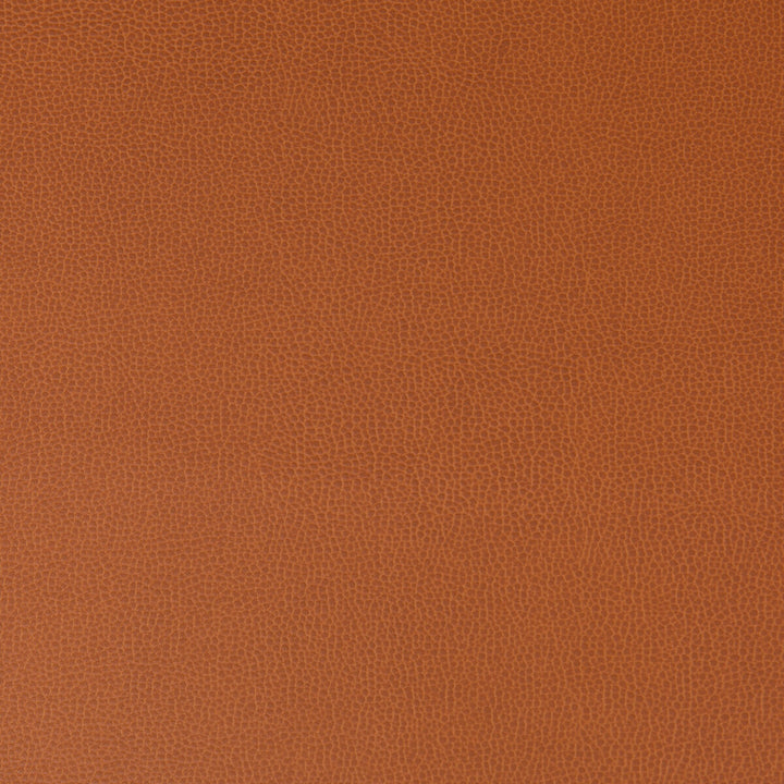 Lenox Canyon by Kravet Contract Fabric - SILICONE - 100% China HEAVY Horizontal: 0 and Vertical: 0 55 - Fabric Carolina -