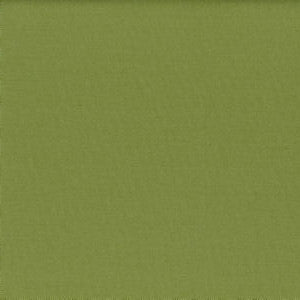 Lenox Sprout by Norbar Fabric 100% COMBED COTTON INDIA 54 - Fabric Carolina -