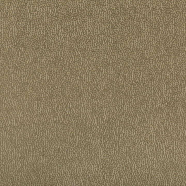 Lenox Bayleaf by Kravet Contract Fabric - SILICONE - 100% China HEAVY Horizontal: 0 and Vertical: 0 55 - Fabric Carolina -