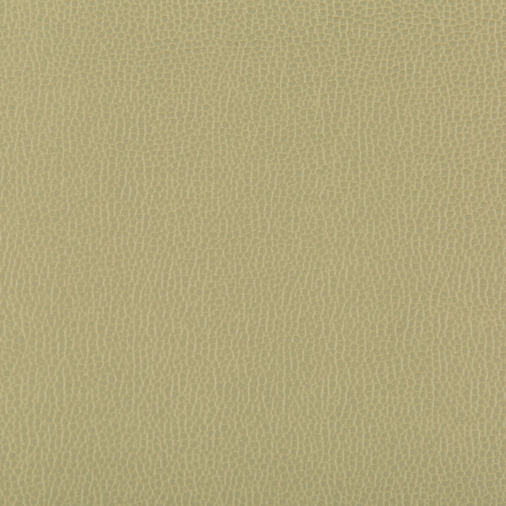 Lenox Sage by Kravet Contract Fabric SILICONE - 100% China HEAVY Horizontal: 0 and Vertical: 0 55 - Fabric Carolina -