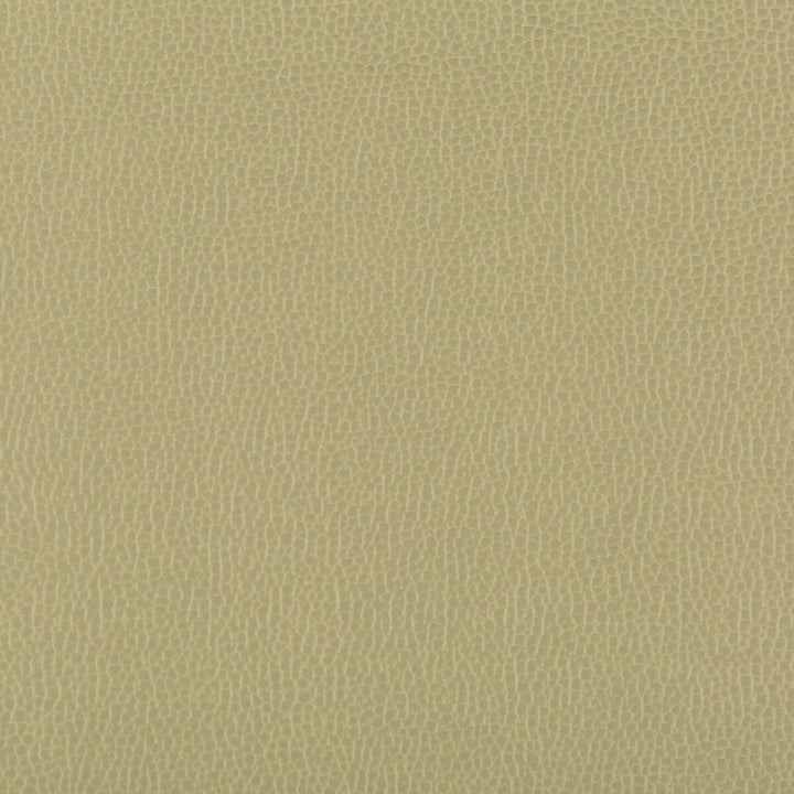 Lenox Sage by Kravet Contract Fabric SILICONE - 100% China HEAVY Horizontal: 0 and Vertical: 0 55 - Fabric Carolina -