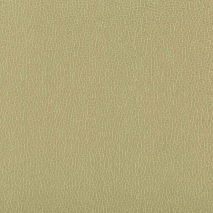 Lenox Sage by Kravet Contract Designer Fabric SILICONE - 100% China HEAVY Horizontal: 0 and Vertical: 0 55 - Swanky Fabrics -