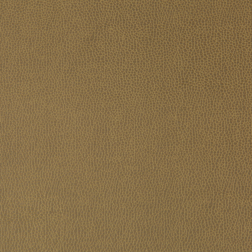 Lenox Sparrow by Kravet Contract Fabric SILICONE - 100% China HEAVY Horizontal: 0 and Vertical: 0 55 - Fabric Carolina -