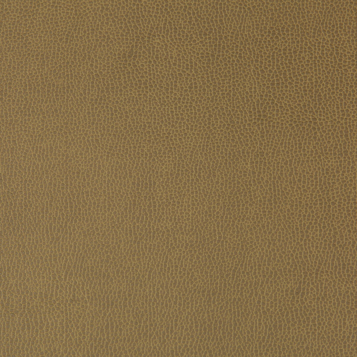 Lenox Sparrow by Kravet Contract Fabric Kravet Contract Fabric Lenox SparrowFabric SILICONE - 100% China </p><p>Repeat: H: 0, V: 0 55 - Fabric Carolina -