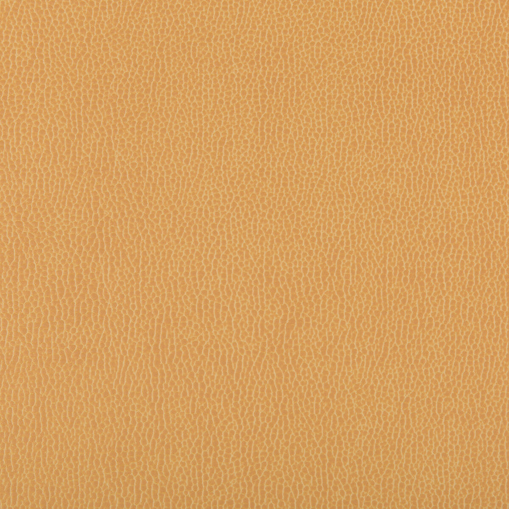 Lenox Camel by Kravet Contract Fabric SILICONE - 100% China HEAVY Horizontal: 0 and Vertical: 0 55 - Fabric Carolina -