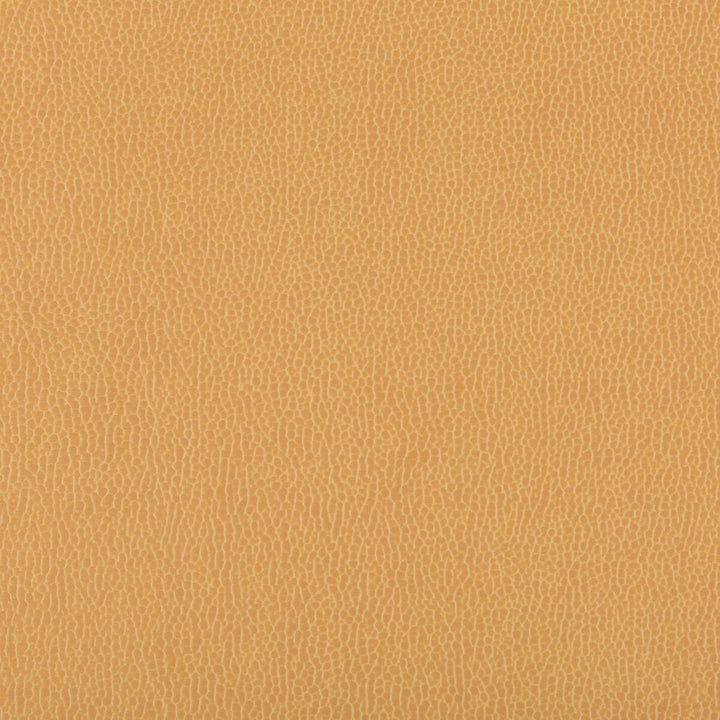 Lenox Camel by Kravet Contract Fabric SILICONE - 100% China HEAVY Horizontal: 0 and Vertical: 0 55 - Fabric Carolina -
