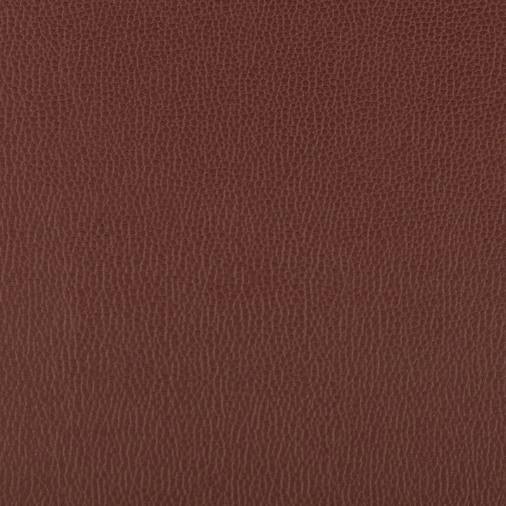 Lenox Raisin by Kravet Contract Fabric - SILICONE - 100% China HEAVY Horizontal: 0 and Vertical: 0 55 - Fabric Carolina -