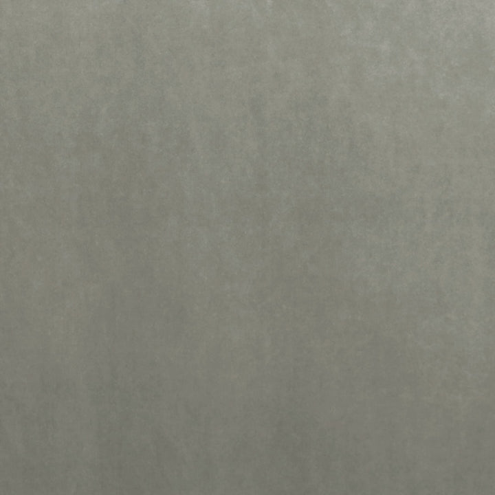 Letino 26 Dove by Marcus William Fabric KAI/MARCUS WILLIAM LETINO 100%POL ITALY FLAME RETARDANT-U.F.A.C. CLASS 1 FLAME RETARDANT-N.F.P.A. 260A CLASS 1 CATB 117-2013 WYZENBEEK 50 000 DOUBLE RUB WEAR TEST (HEAVY DUTY) Horizontal: 0.000 and Vertical: 0.000 55 in - Fabric Carolina -