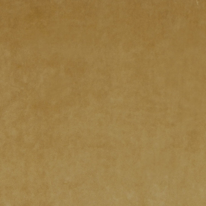 Letino 31 Honey by Marcus William Fabric Marcus William Fabric Letino 31 HoneyFabric KAI/MARCUS WILLIAM LETINO ITALY </p><p>Repeat: H: 0.000, V: 0.000 55 in - Fabric Carolina -