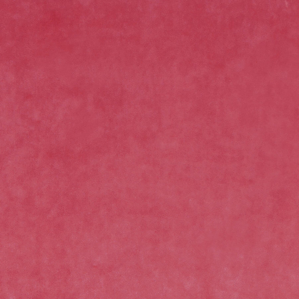 Letino 32 Blossom by Marcus William Fabric KAI/MARCUS WILLIAM LETINO 100%POL ITALY WYZENBEEK 100 000 DOUBLE RUB WEAR TEST (HEAVY DUTY) Horizontal: 0 and Vertical: 0 55 in - Fabric Carolina -