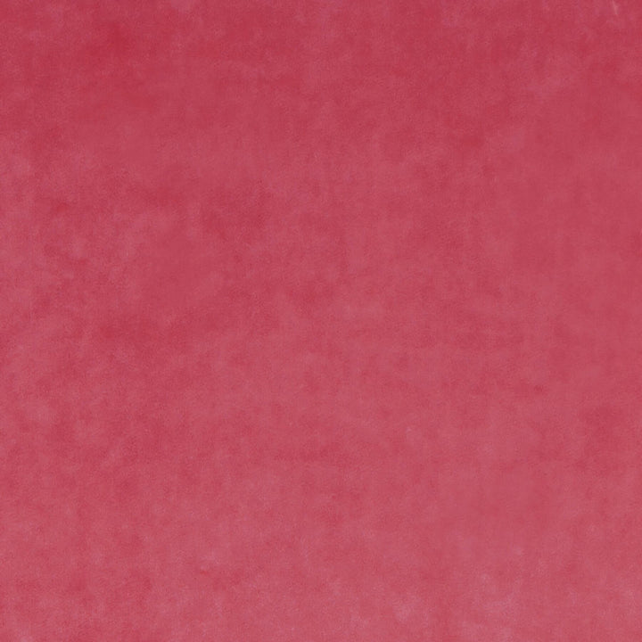 Letino 32 Blossom by Marcus William Fabric KAI/MARCUS WILLIAM LETINO 100%POL ITALY WYZENBEEK 21 000 DOUBLE RUB WEAR TEST (HEAVY DUTY) FLAME RETARDANT-U.F.A.C. CLASS 1 CATB 117-2013 Horizontal: 0.000 and Vertical: 0.000 55 in - Fabric Carolina -