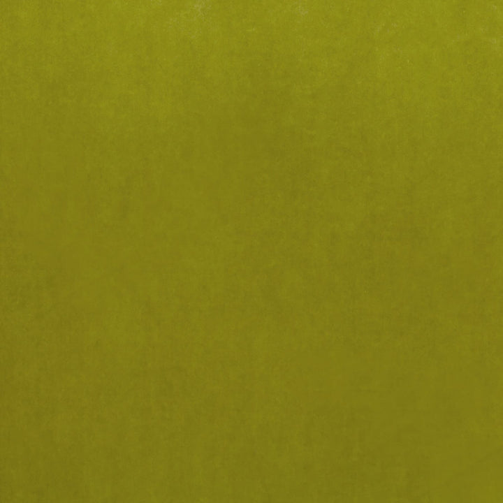 Letino 34 Lime by Marcus William Fabric Marcus William Fabric Letino 34 LimeFabric KAI/MARCUS WILLIAM LETINO ITALY </p><p>Repeat: H: 0.000, V: 0.000 55 in - Fabric Carolina -