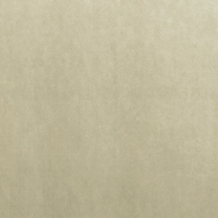 Letino 35 Oatmeal by Marcus William Fabric Kai/Marcus William Letino 100% Polyester ITALY WYZENBEEK 100 000 DOUBLE RUB WEAR TEST (HEAVY DUTY) Horizontal: 0 and Vertical: 0 55 in - Fabric Carolina -