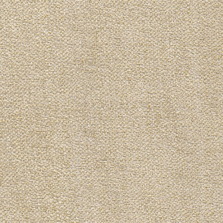 Lexington Cord by Europatex Fabric Lexington 100% Polyester 0.00" 55.00 inches - Fabric Carolina -