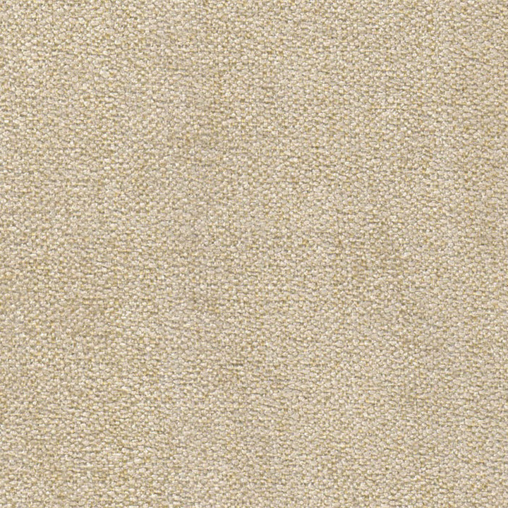 Lexington Cord by Europatex Designer Fabric Lexington 100% Polyester 0.00" 55.00 inches - Swanky Fabrics -