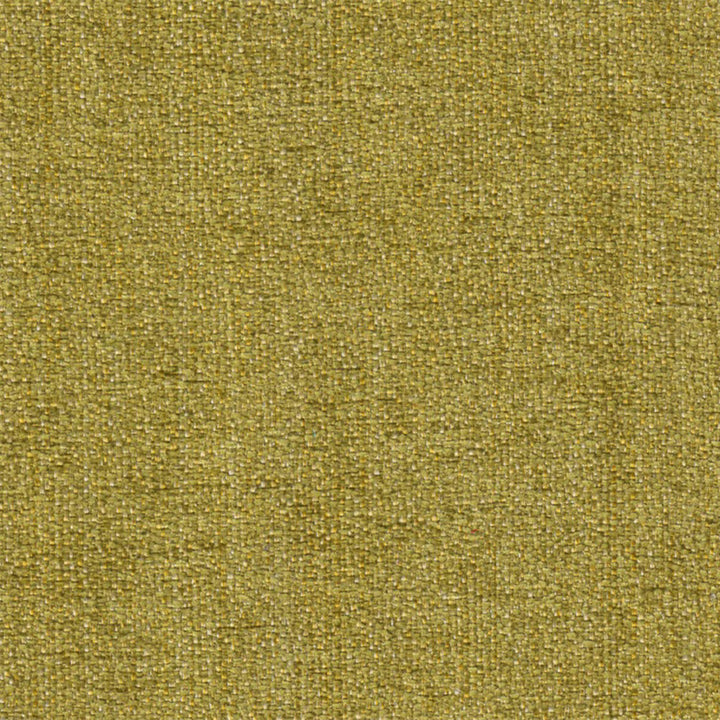 Lexington Keylime by Europatex Fabric Lexington 100% Polyester 0.00" 55.00 inches - Fabric Carolina -