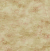 Roxen Texture Rust and Gold LG91701 by Seabrook Designs Wallpaper