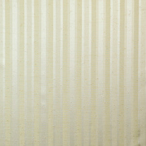 Lane Change # 790 Desert by Maxwell Fabric