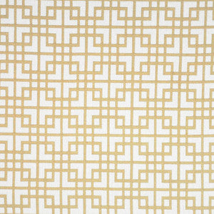 Login # 252 Pita by Maxwell Fabric