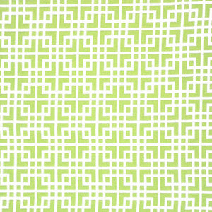 Login # 370 Kiwi by Maxwell Fabric