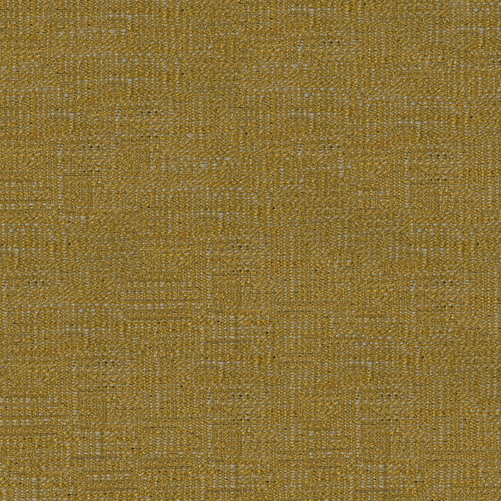 Boz by ABBEYSHEA Fabric N/A 55% Polyester, 45% Rayon China 25,000 Double Rubs </p><p>Repeat: Horizontal: 14.6" (37.0 cm) Across the Roll and Vertical: 19.8" (50.2 cm) Up the Roll 55" (140 cm) - Fabric Carolina -