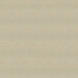 Lighthouse Almond 4919 by Ship to Shore Fabric