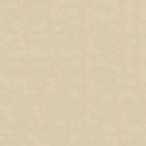 Lighthouse Ivory 4920 by Ship to Shore Fabric