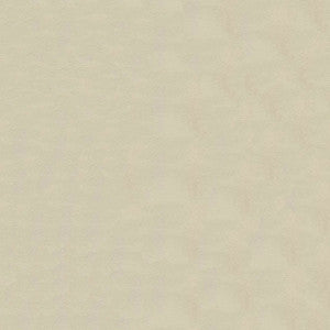 Lighthouse Off White 4923 by Ship to Shore Fabric