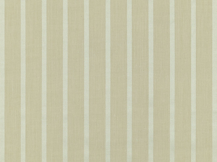 Ligne 196 Linen by Covington Fabric 75% POLYESTER, 25% COTTON India Horizontal: 1.5 and Vertical: 0 55 - Fabric Carolina -