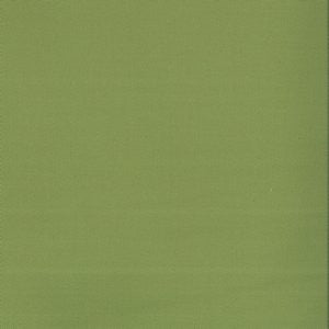 Lima Leaf by Norbar Fabric See Sample 100% COMBED COTTON TURKEY 10,000 WYZENBEEK 54 - Fabric Carolina -