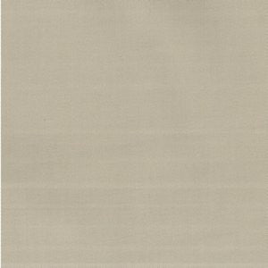 Lima Putty by Norbar Fabric See Sample 100% COMBED COTTON TURKEY 10,000 WYZENBEEK 54 - Fabric Carolina -
